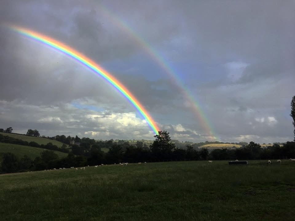 Double rainbow stretching across stormy sky over rural green pasture with trees and distant landscape